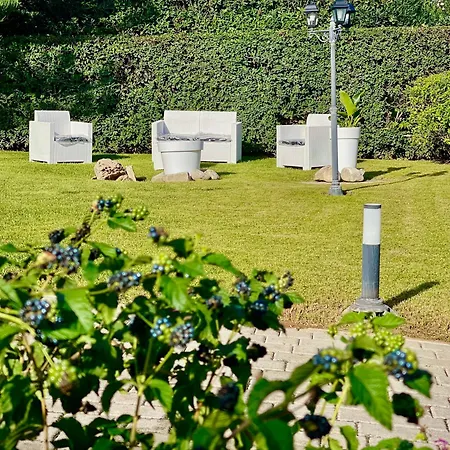 Pignatelli * باري